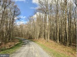 SOUTH WOODS DRIVE