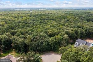 12108 HONOR BRIDGE FARM DRIVE