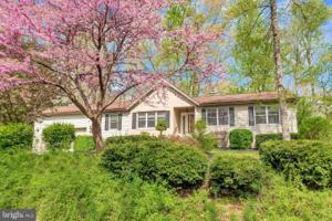 607 GOLD VALLEY ROAD