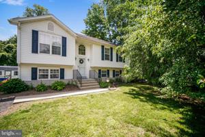 445 BUCKLER DRIVE
