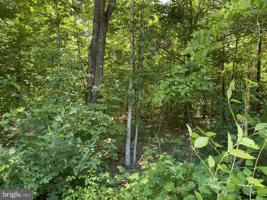 Lot 139 HUNT HAVEN