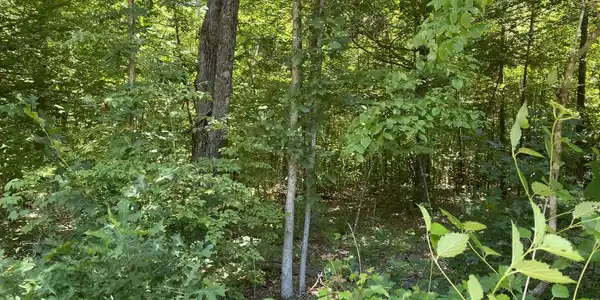 Lot 139 HUNT HAVEN