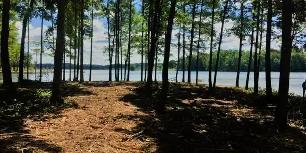 Lot 100 FAIRVIEW DR