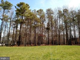 11604 STONEWALL JACKSON DRIVE