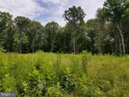 10500 FOX RUN CROSSING LANE