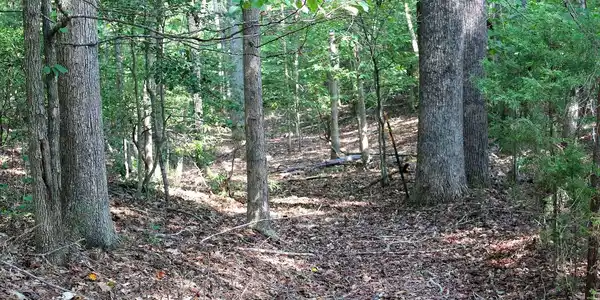 OAK GROVE DRIVE