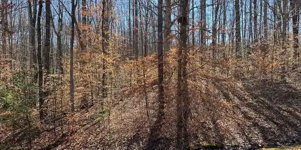 LOT 97 NOAH'S LANDING DRIVE