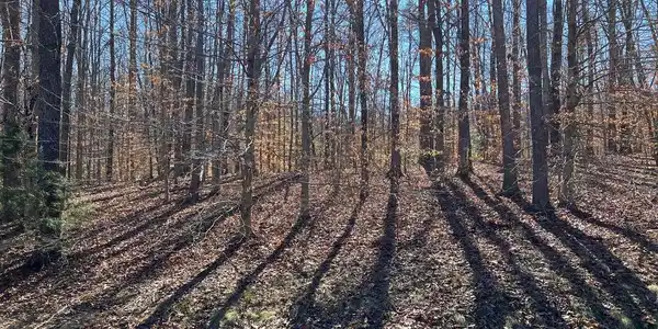 LOT 98 NOAH'S LANDING DRIVE