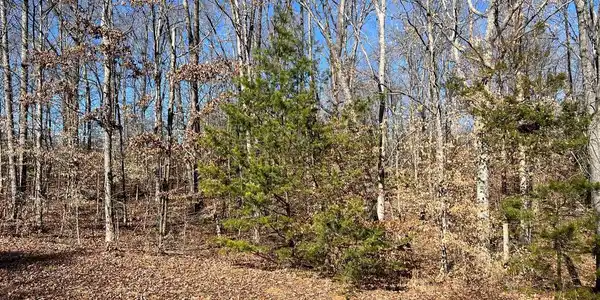 LOT 197 NOAH'S LANDING DRIVE