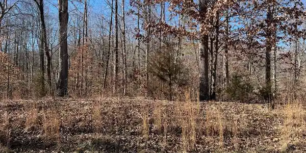 LOT 67 DOVE CT