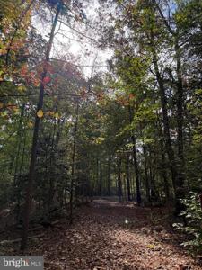 Lot 28 TURKEY TRAIL