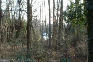 90 LAKE DRIVE E