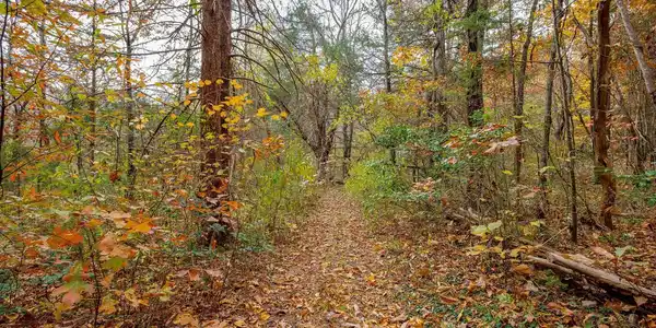 5255 COURTHOUSE ROAD