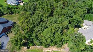 11421 BLUFFS RIDGE