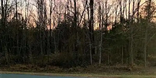 Lot 43 PALMOMINO DRIVE