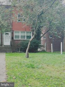 41 BRUCE PARK DRIVE