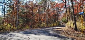 SPITZ LANE