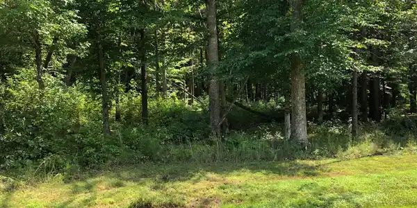 GUNNAR