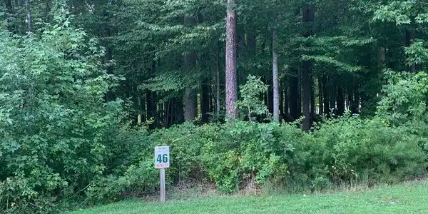 LOT 46 MILL RUN