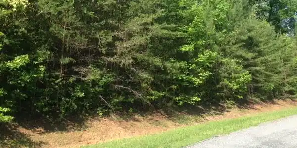 0 WINCHESTER TRAIL