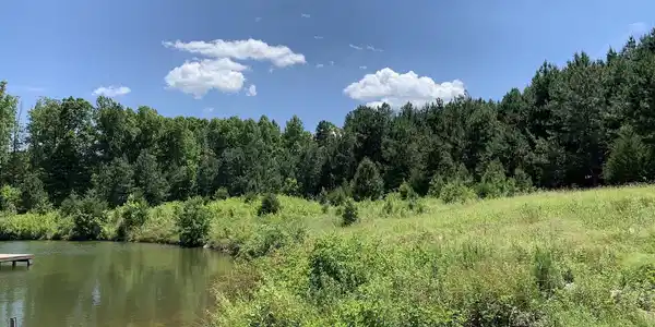 0 LAKE FOREST DRIVE