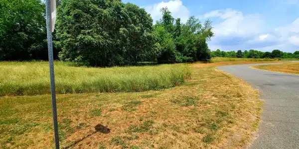 BEAR COURT