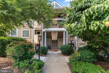 9515 HICKORY LIMB