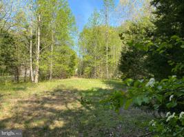 OVERTON DRIVE