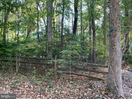 513 DILLON DRIVE
