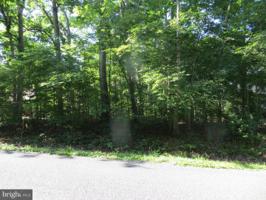 317 LIBERTY BOULEVARD