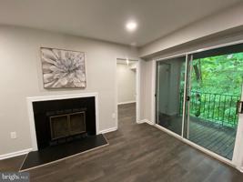 20249 SHIPLEY TER
