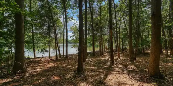 Lot 3 IRISH ESTATES