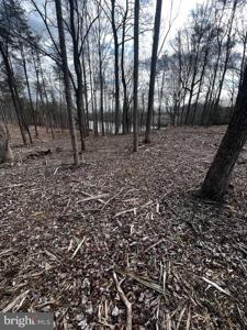 Lot 56 COMPASS COVE