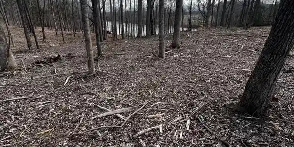 Lot 56 COMPASS COVE
