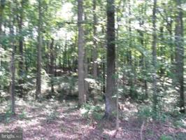 0 WOLFTRAP CT