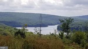 SHINGLE CAMP AND STOCKSLAGER