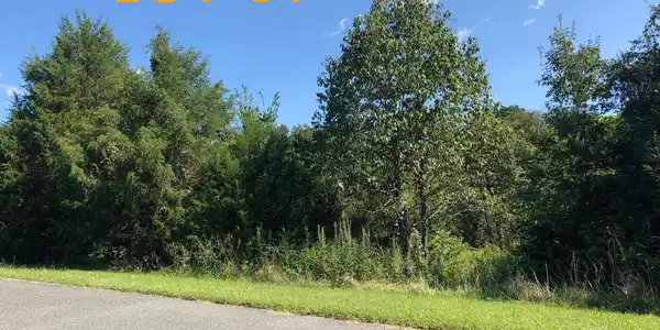 PIMLICO LN LOT 81
