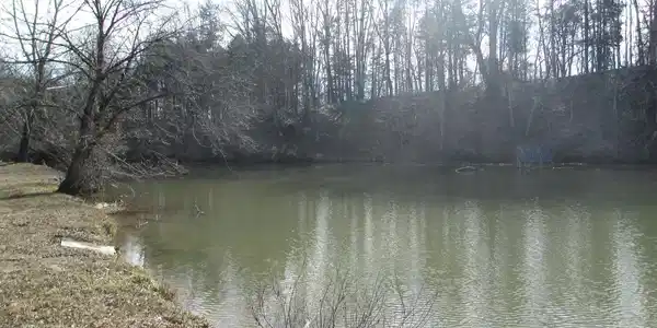 Lot 4 DANIELS POINT DRIVE S