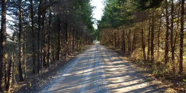 WOODLAWN FARM DRIVE