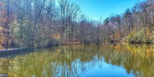 CATS PAW CT