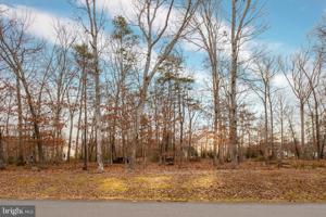 11410 DARKSTONE PLACE