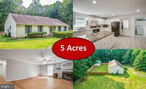 11524 FOREST WALK DRIVE