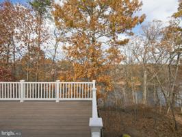 140 RUFFED GROUSE CT