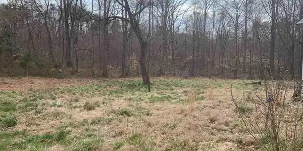 4717 & 4719 COURTHOUSE ROAD