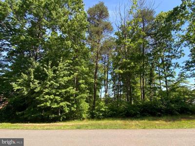 11415 BLUFFS RIDGE