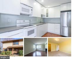 10613 SUMMER OAK COURT
