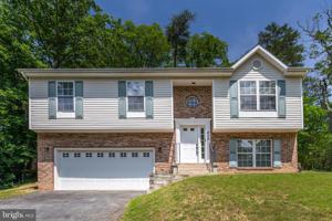 519 DODGE TRAIL