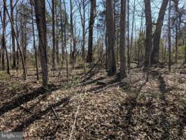 LOT 52 MOUNTAIN VIEW