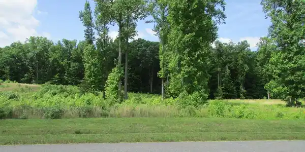 RAINBOW RIDGE ROAD