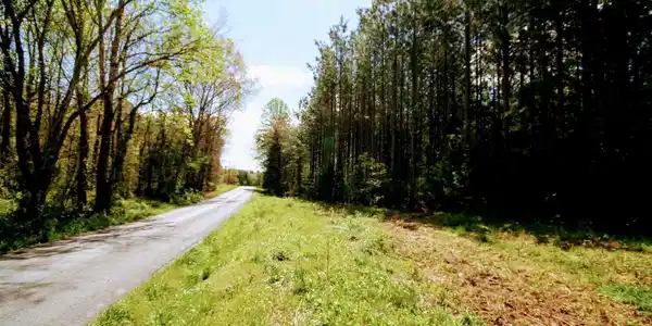 TBA Lot 2 MONROVIA RD ROAD